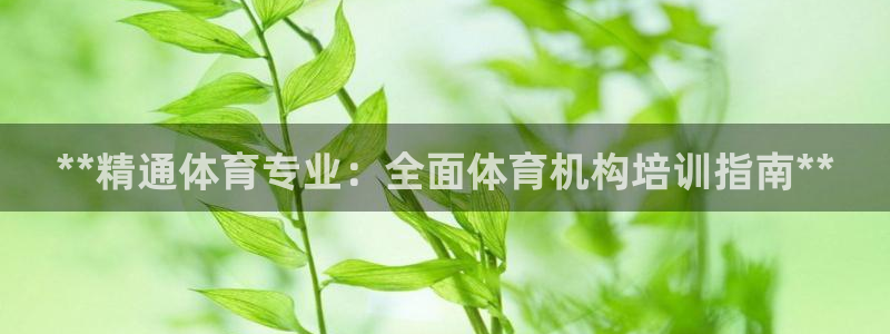 极悦官网：**精通体育专业：全面体育机构培训指南**
