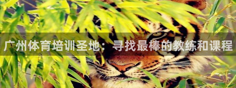 极悦娱乐会被骗吗知乎：广州体育培训圣地：寻找最棒的教