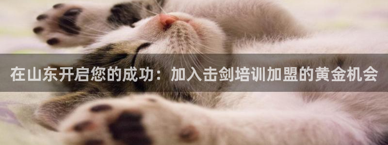 极悦平台客服团队介绍：在山东开启您的成功：加入击剑培