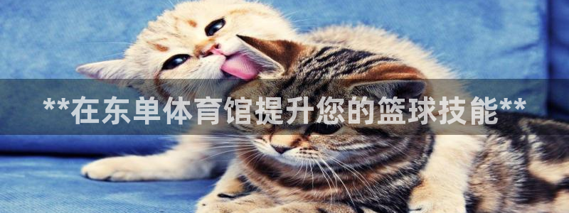极悦平台客服投诉电话是多少：**在东单体育馆提升您的