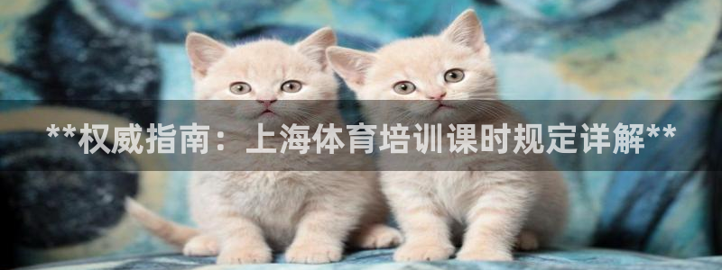 极悦平台官方网站首页：**权威指南：上海体育培训课时