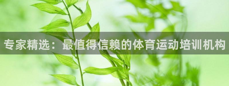 极悦平台用户评价与反馈：专家精选：最值得信赖的体育运