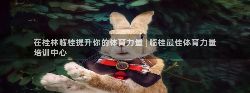 极悦平台注册官网：在桂林临桂提升你的体育力量 | 临
