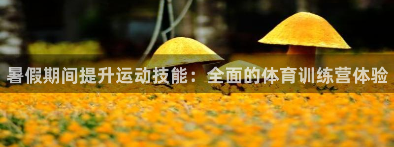 极悦娱乐登录拒绝访问怎么办理：暑假期间提升运动技能：