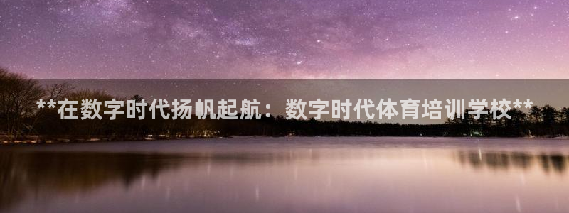 极悦平台客服团队怎么样：**在数字时代扬帆起航：数字