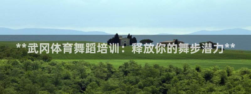 极悦娱乐的背景和历史背景介绍：**武冈体育舞蹈培训：