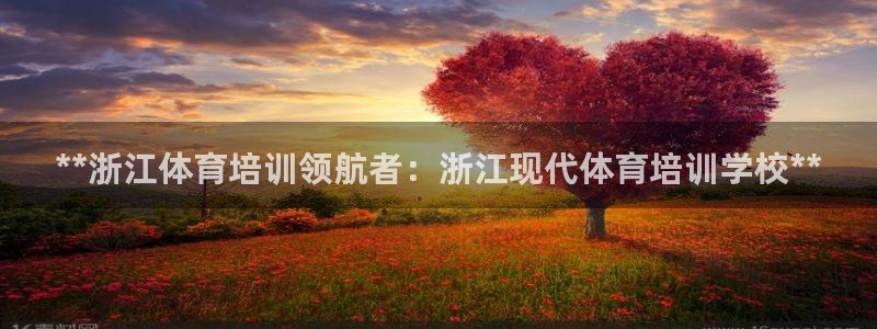 极悦平台登录方式是什么：**浙江体育培训领航者：浙江