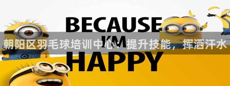极悦娱乐现在叫什么：朝阳区羽毛球培训中心：提升技能，