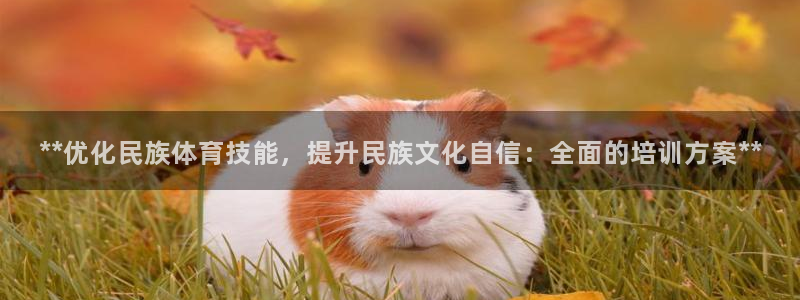 极悦平台注册和登录页面一样吗：**优化民族体育技能，