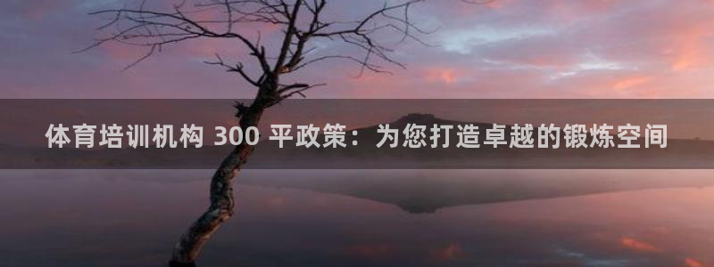 极悦平台登录方式是什么：体育培训机构 300 平政策