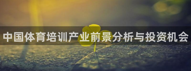 极悦平台登录方式：中国体育培训产业前景分析与投资机会