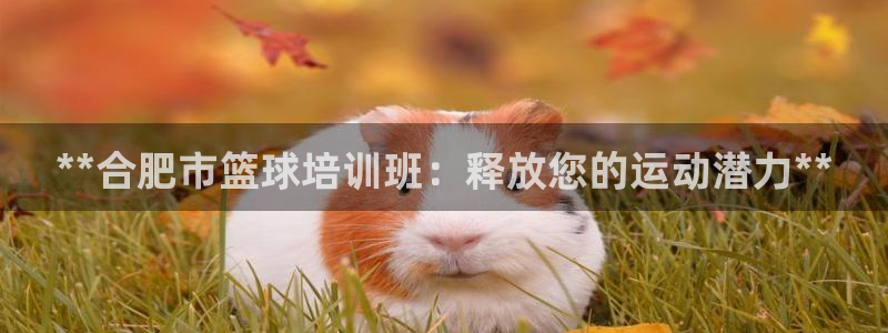 极悦娱乐官网入口下载：**合肥市篮球培训班：释放您的