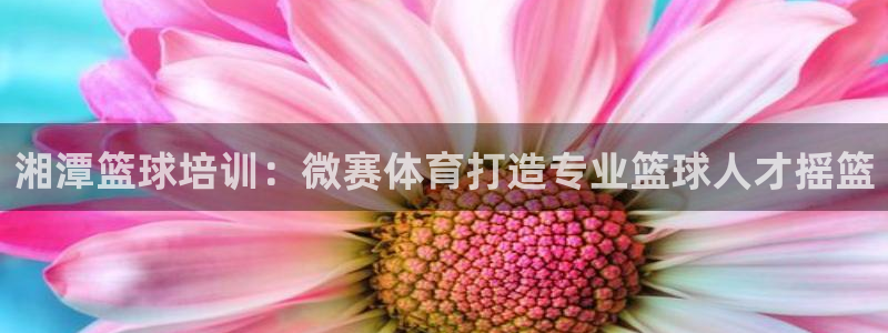 极悦生活家是什么平台的软件：湘潭篮球培训：微赛体育打