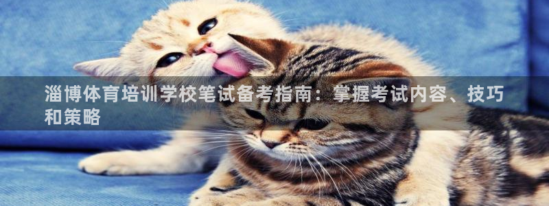 极悦平台代理电话：淄博体育培训学校笔试备考指南：掌握