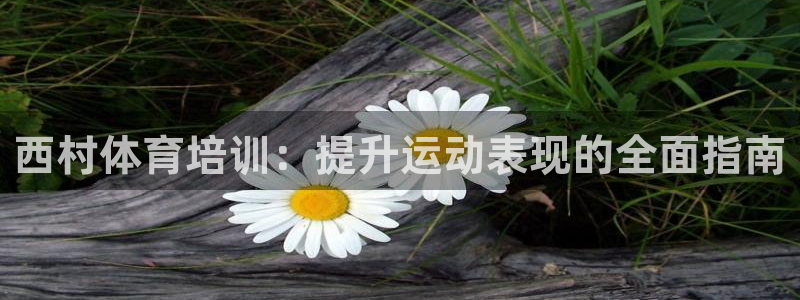 极悦官方网站入口：西村体育培训：提升运动表现的全面指