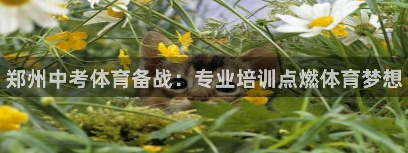 极悦娱乐的背景和历史背景是什么：郑州中考体育备战：专