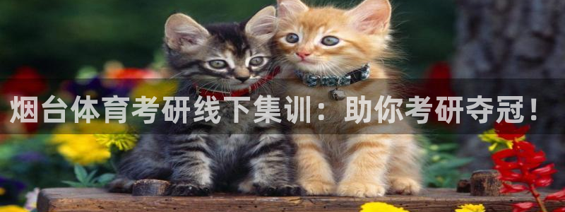 极悦平台官方网站登录入口：烟台体育考研线下集训：助你
