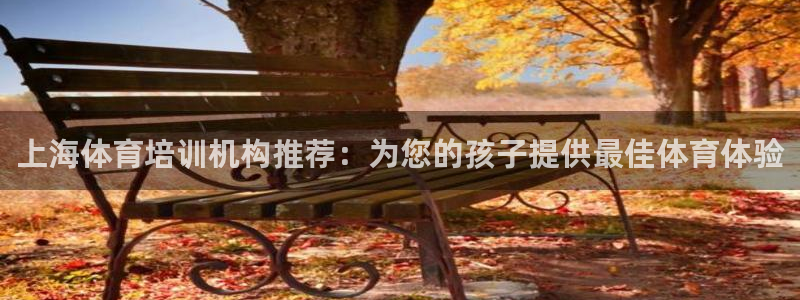 极悦娱乐部7O777：上海体育培训机构推荐：为您的孩