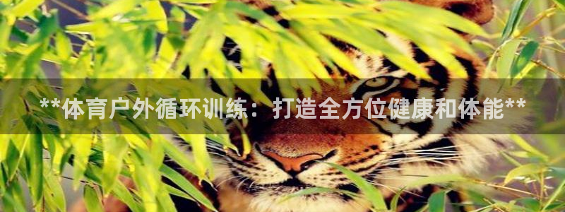 极悦平台app二维码怎么弄到桌面：**体育户外循环训