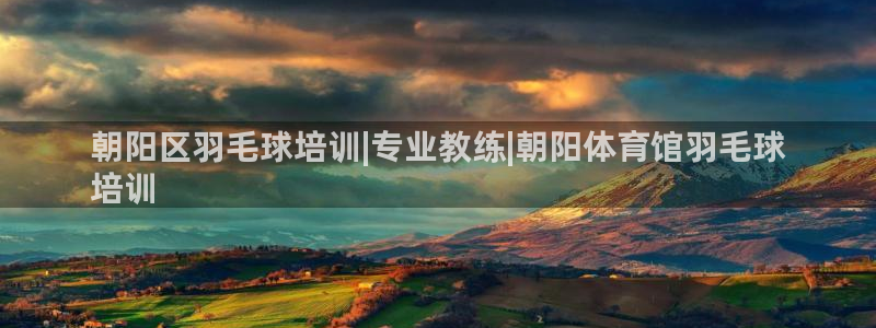 极悦娱乐代理人是谁啊：朝阳区羽毛球培训|专业教练|朝
