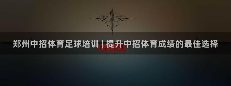极悦平台代理怎么样可靠吗：郑州中招体育足球培训 | 