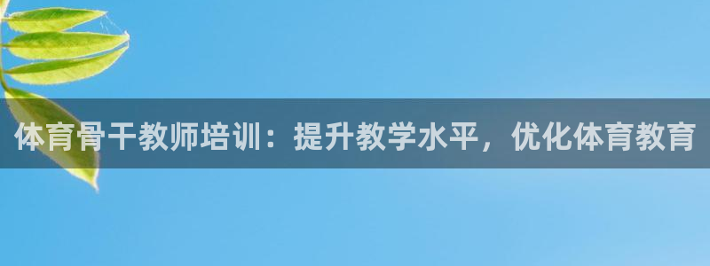 极悦平台登录入口注册：体育骨干教师培训：提升教学水平