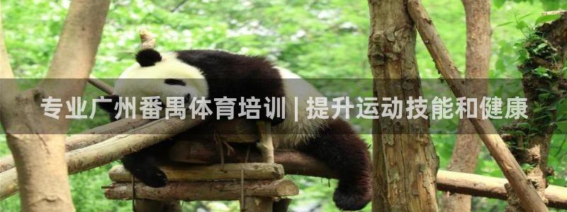 极悦平台客服团队介绍：专业广州番禺体育培训 | 提升