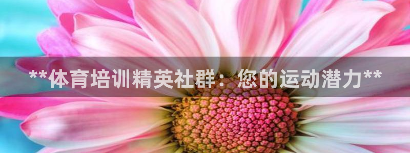 极悦娱乐公司最新招聘信息官网：**体育培训精英社群：