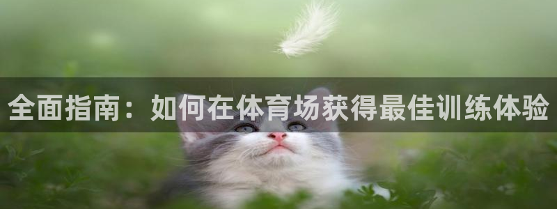 极悦平台是什么：全面指南：如何在体育场获得最佳训练体