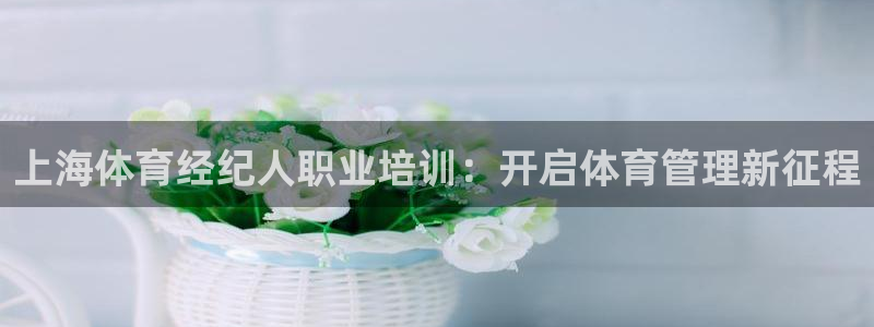 极悦平台代理怎么样可靠吗：上海体育经纪人职业培训：开