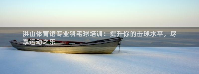 极悦平台注册流程图片：洪山体育馆专业羽毛球培训：提升