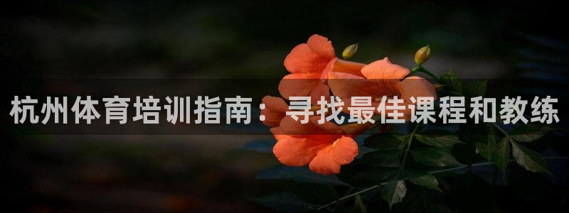 极悦平台登录方式：杭州体育培训指南：寻找最佳课程和教