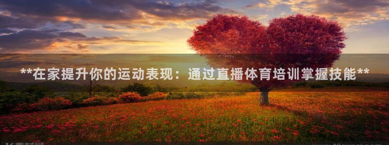 极悦平台创始人背景故事是什么：**在家提升你的运动表