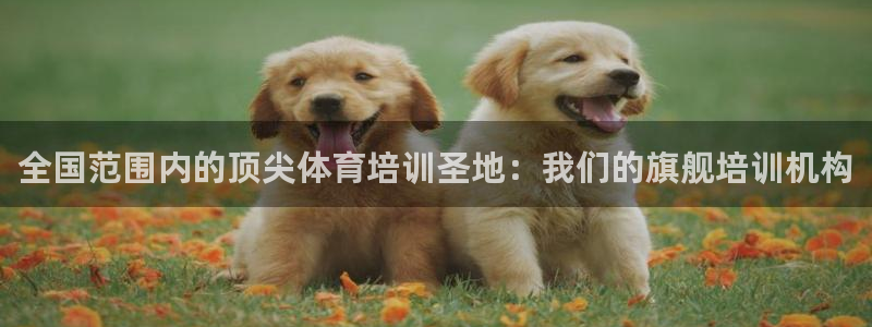 极悦平台是正规平台吗安全吗是真的吗：全国范围内的顶尖