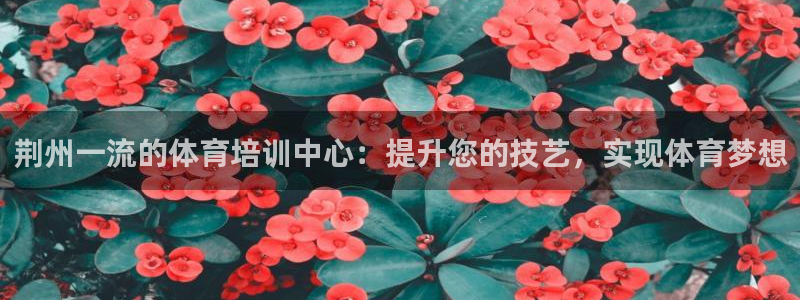 极悦平台官方网址查询：荆州一流的体育培训中心：提升您