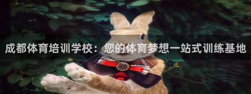 极悦娱乐官网最新版本更新内容是什么：成都体育培训学校