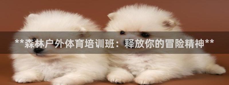 极悦平台注册官方网站下载安装手机版：**森林户外体育