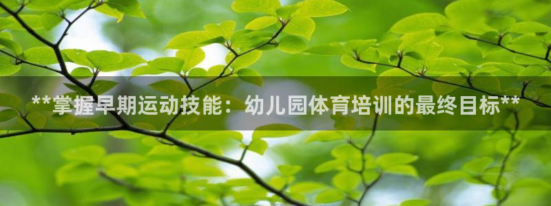 极悦娱乐官网入口网址：**掌握早期运动技能：幼儿园体