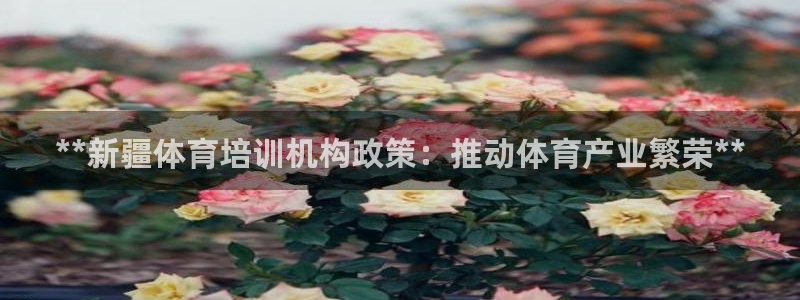 极悦娱乐代理怎么样可靠吗：**新疆体育培训机构政策：