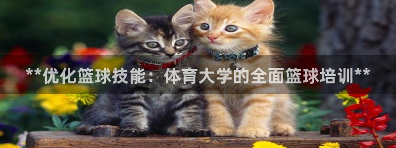 极悦官网下载最新版本更新内容视频：**优化篮球技能：