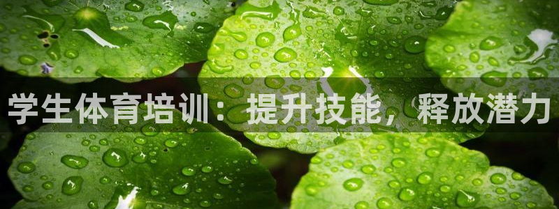 极悦平台登录方式：学生体育培训：提升技能，释放潜力