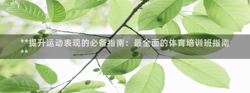极悦娱乐官网客服联系方式查询：**提升运动表现的必备