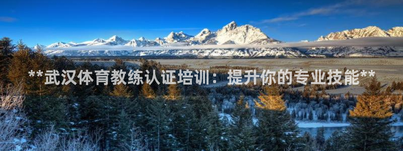 极悦娱乐官方网站：**武汉体育教练认证培训：提升你的