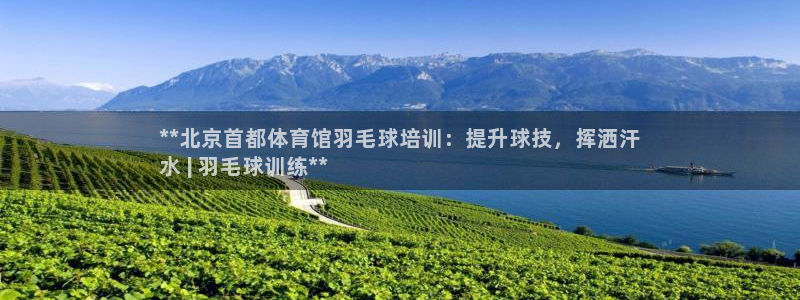 极悦平台注册申请流程详解图：**北京首都体育馆羽毛球