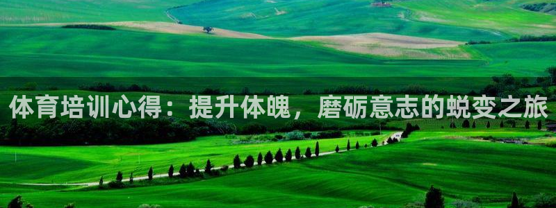 极悦平台是正规平台吗知乎：体育培训心得：提升体魄，磨