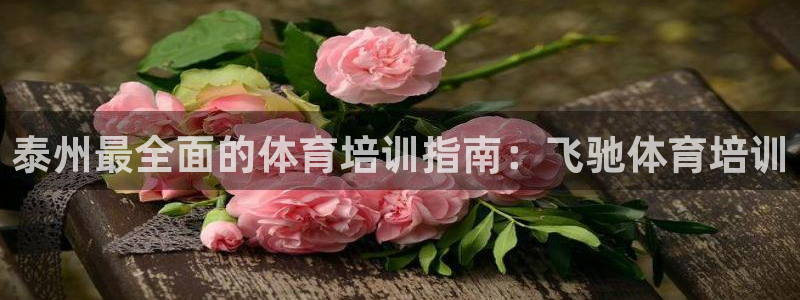 极悦官方网站app下载：泰州最全面的体育培训指南：飞