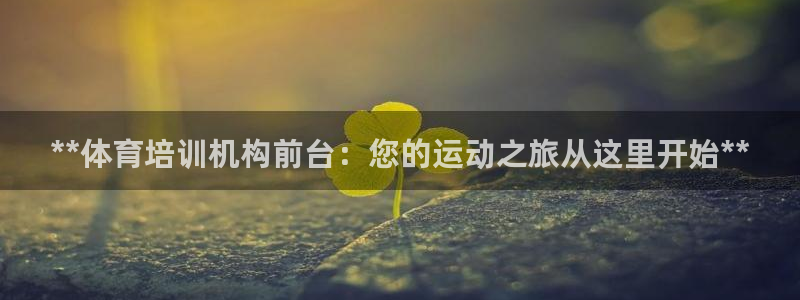 极悦平台代理怎么做赚钱：**体育培训机构前台：您的运