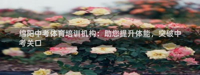 极悦平台注册登录不上：绵阳中考体育培训机构：助您提升