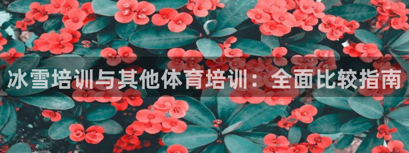 极悦官方网站app下载安装：冰雪培训与其他体育培训：