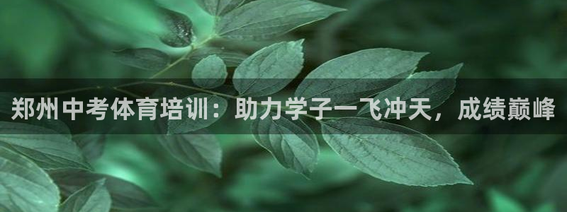 极悦官方网站入口：郑州中考体育培训：助力学子一飞冲天